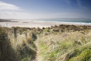 sandy dunes to gwithian beach