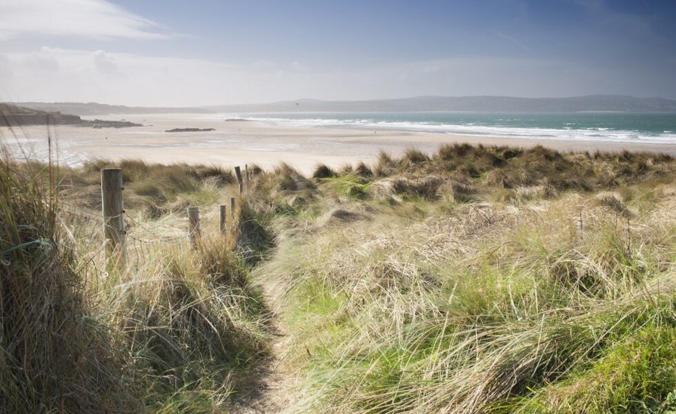 sandy dunes to gwithian beach